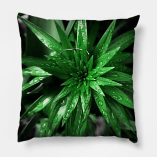 Green Leaves Pillow