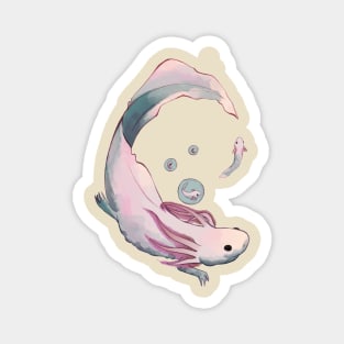 Axolotl evolution Magnet