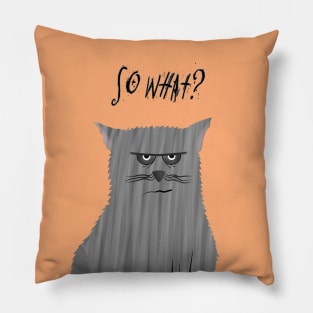 So what? Pillow