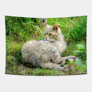 Relaxed wildcat Tapestry