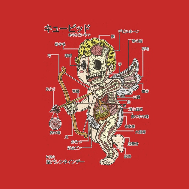 CUPID ANATOMY by Firebrander