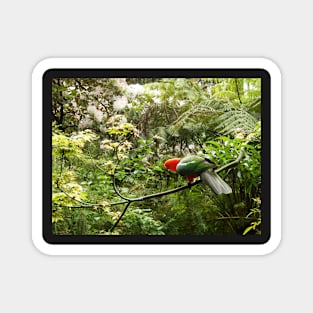 King Parrot Magnet