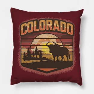 Colorado Vintage Outoor Design Pillow