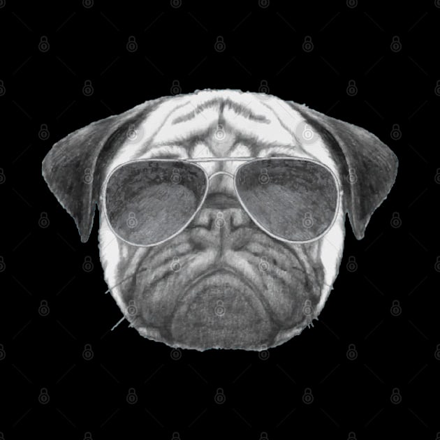 Cool Pug by The BioGeeks