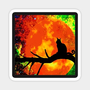 BLACK CAT FIRE HARVEST MOON BLACK TREE Magnet