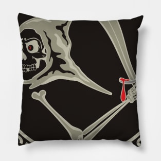 VF142 Ghostriders Pillow