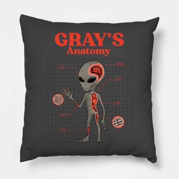 Gray's Anatomy Pillow by ppmid