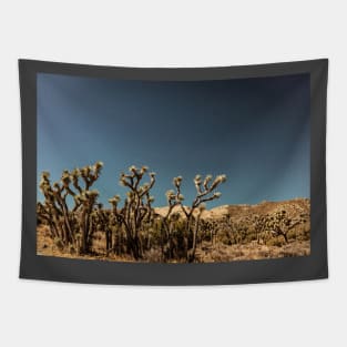 Joshua Tree National Park, California Tapestry