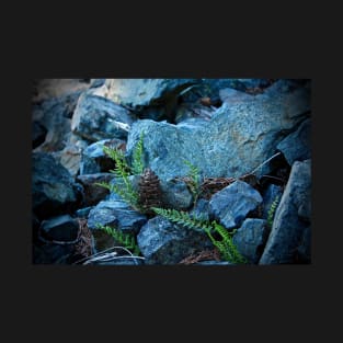 Tiny Ferns and Pinecone T-Shirt