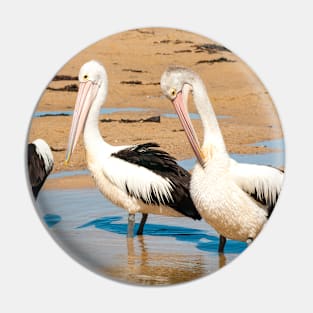 Australians Pod of Pelicans Pin