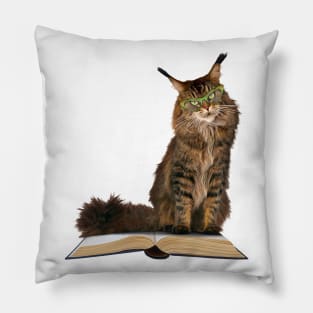 Angry Cat in Glasses Sits on Your Book Pillow