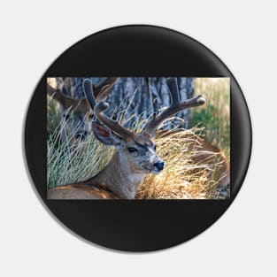 Velvet Buck Pin