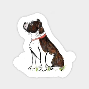 Brindle Staffordshire Bull Terrier Magnet