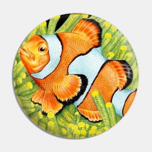 Clownfish Pin