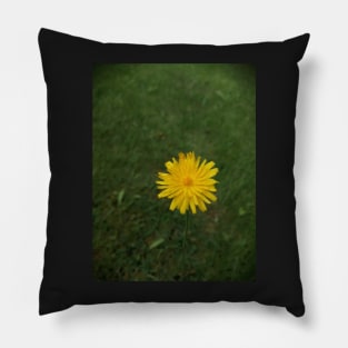 The lonesome Dandylion Pillow