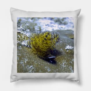 Yellow Christmas Tree Worm Pillow