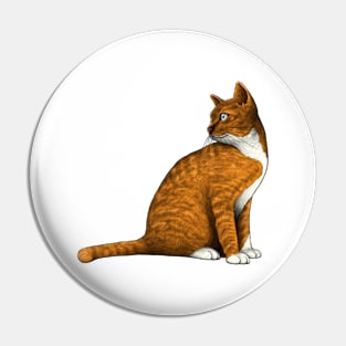 Cat Pin