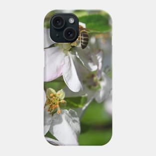 Honey bee on Flower Phone Case