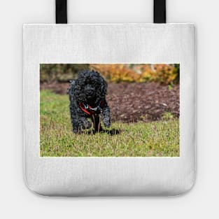 Hunting Poodles Tote