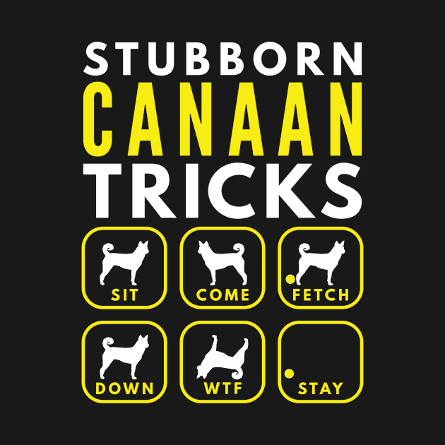 Stubborn Canaan Tricks - Dog Training by DoggyStyles