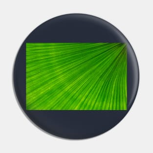 Palm frond Pin