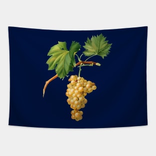 Vintage Botanical Illustration - Grape Vine 009 Tapestry