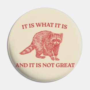 It Is What It Is And It Is Not Great Pin