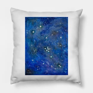 Taurus Pillow