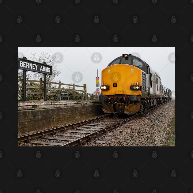 Rhtt train at Berney arms by Robert john