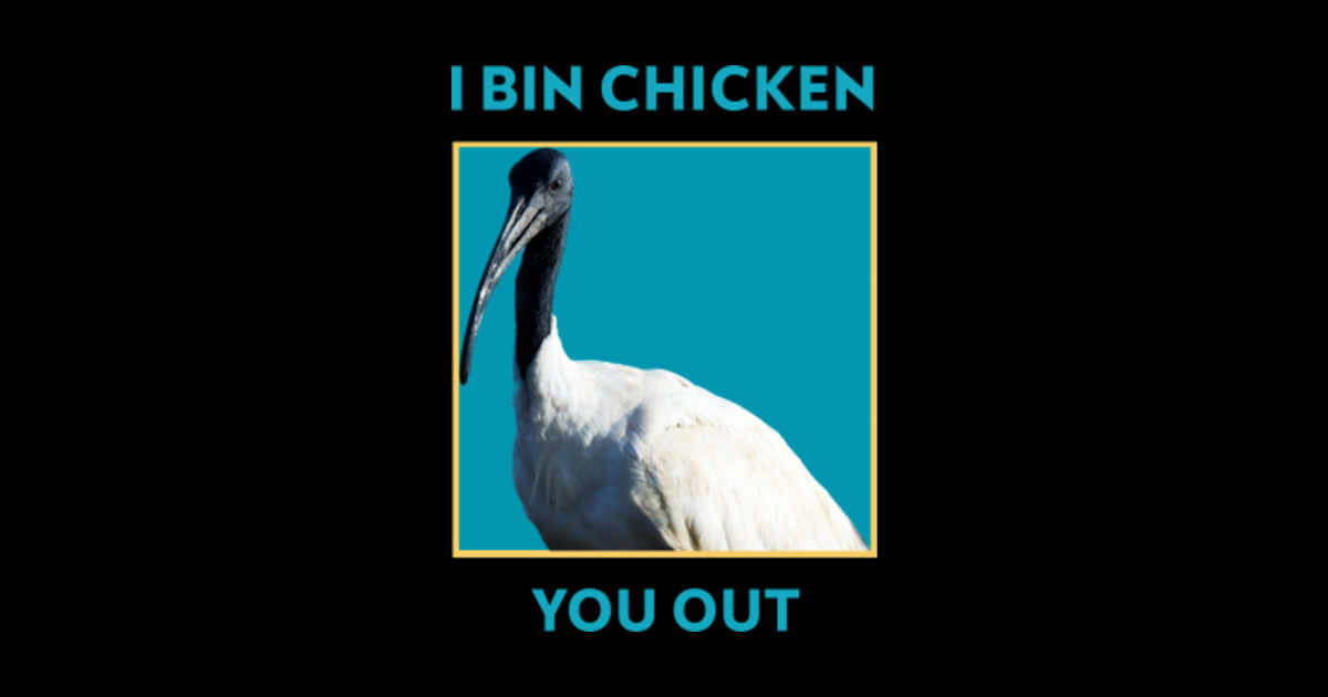 I BIN CHICKEN YOU OUT Bin Chicken Sticker TeePublic