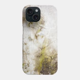 Moss on concrete texture Phone Case