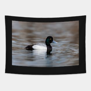 Greater Scaup Tapestry