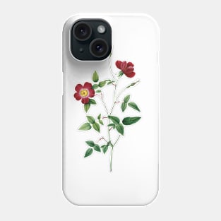 Tiny Red Rose Flower Botanical Illustration Phone Case