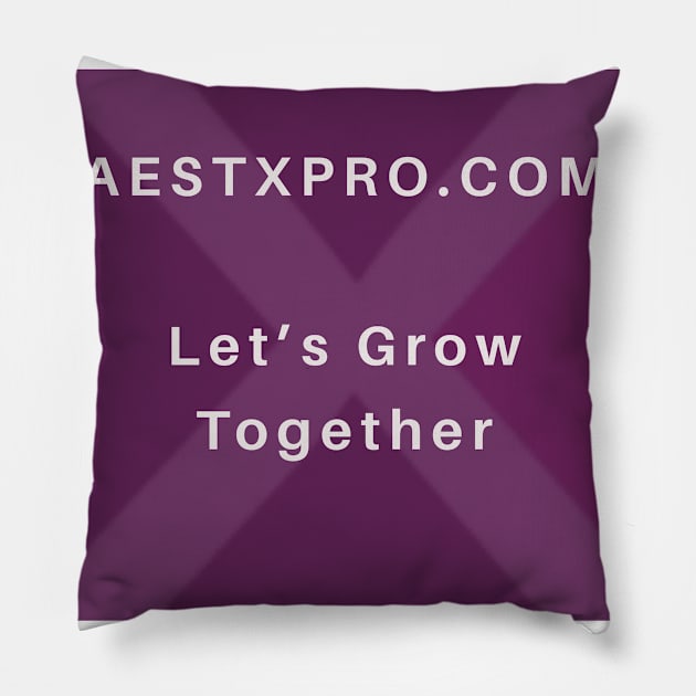 AESTXPRO Pillow by JFitz