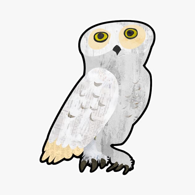 White owl by jurjenbertens