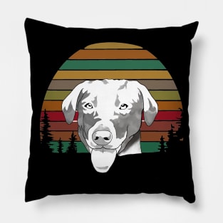 Lab On Earth Tone Sunset Pillow