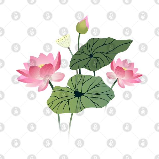 Lotus flowers by Avisnanna