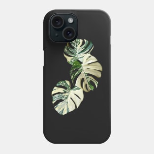 MONSTERA THAI CONSTELLATION MUTATION Phone Case