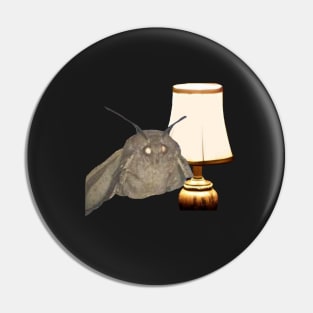 Möth And Lamp Pin