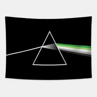 Aromantic Pride Prism Tapestry