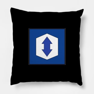 Racing Logo (Arrow) Pillow