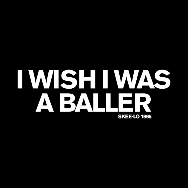 I Wish I Was A Little Bit Taller / I Wish I Was A Baller (Skee Lo) by FUN DMC 