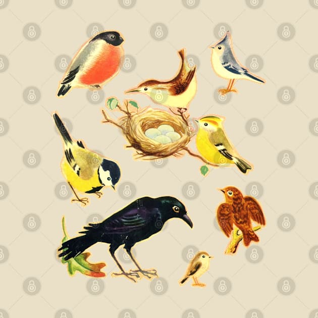 Vintage Styled Birds Illustration Design by DankFutura