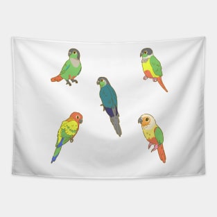 Colourful Conures Sticker Pack Tapestry