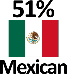 51% Mexican Flag Funny Mexico Heritage Magnet