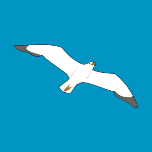 Seagull Flying High Above T-Shirt