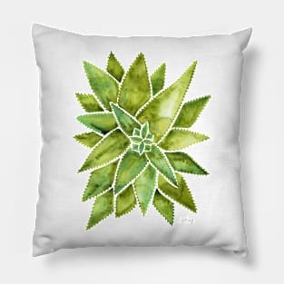 Green Aloe Vera Pillow