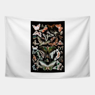 Dark Butterfly French Butterfly Chart by Adolphe Millot Tapestry