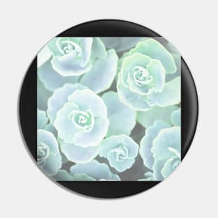 Plants print, pastel mint green Houseleek Pin