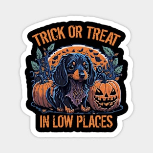 Cute Puppy Dachshund Lover Halloween Trick or Treat In Low Places Magnet
